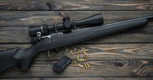best scope for 22lr squirrel hunting